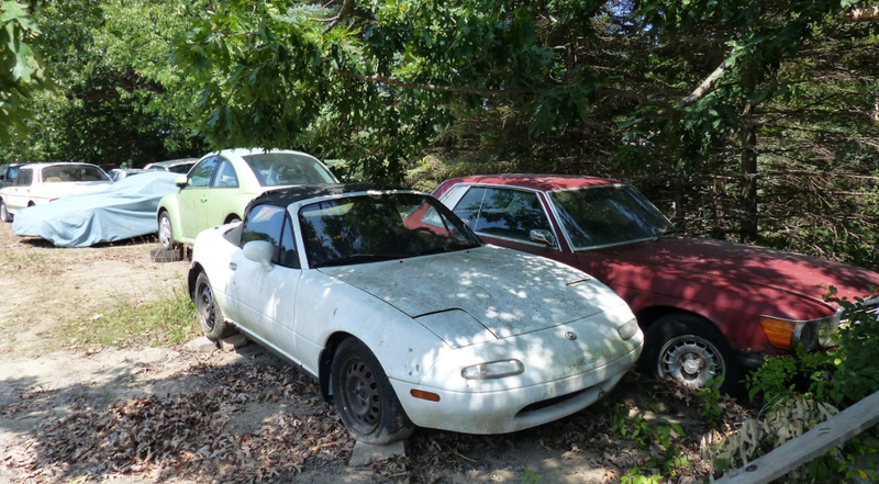 Illustration for article titled A Michigan Town Is Forcing This Man To Sell 20 Old Cars Off His Property Every Month